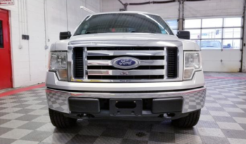 Used Ford F-150 2010 full