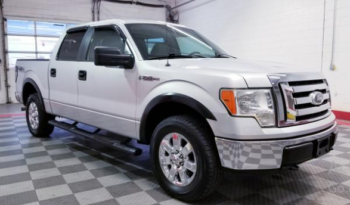 Used Ford F-150 2010 full