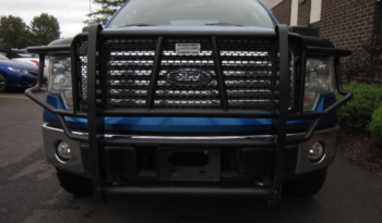 Used Ford F-150 2010 full