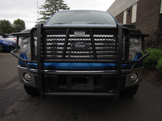 Used Ford F-150 2010 full