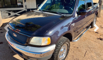 Used Ford F-150 2001 full